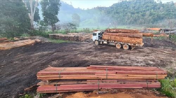 Resizer-16209246656220