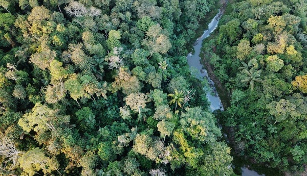 7078987IMG-mediaoperacao1