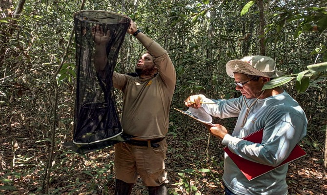 Programa-monitoramento-biodiversidade-parque-estadual-corumbiara-