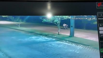 Jovem é puxada por suspeito, que em seguida a mata e a enterra no quintal da casa dele, Jovem é puxada por suspeito, que em seguida a mata e a enterra no quintal da casa dele,