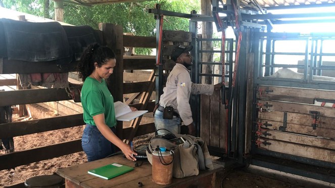 A zootecnista Ane Cavalcante participou das atividades de residência profissional agrícola nas fazendas de uma empresa voltada para nutrição animal, no Pará.