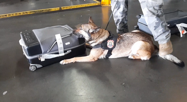 822f2673-22a7-4a7d-bcd7-de29d8546b4b