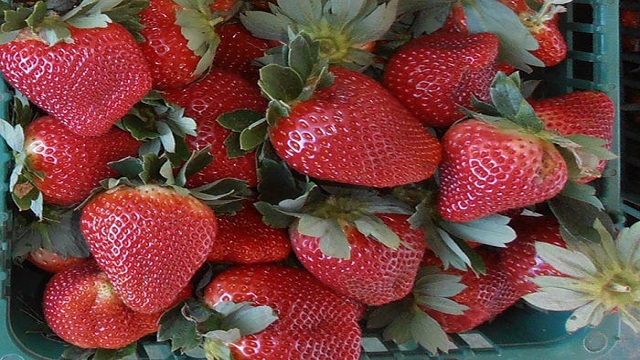 9c2cf964-7abc-4684-a0d6-fd01d2e9f0b6