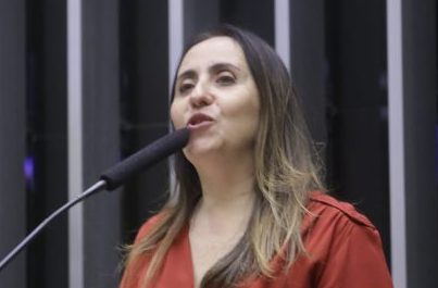 Discussão e votação de propostas. Dep. Adriana Ventura NOVO-SP