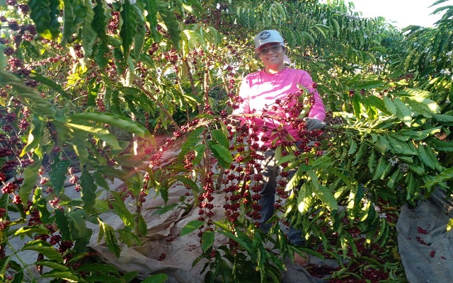 o_1ggfuveni78a19i3iak19u9pp7a