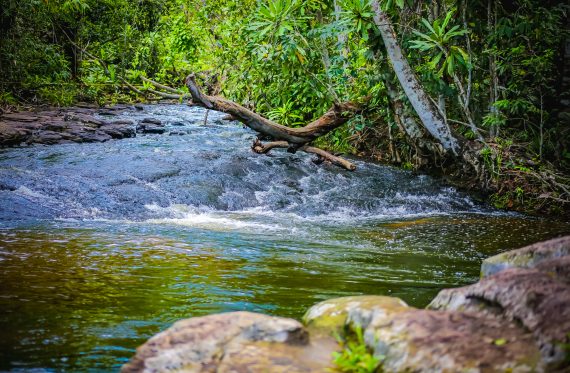 Turismo-Vale-das-Cachoeiras_09.01.22_Foto_Daiane-Mendonca-4-570x373