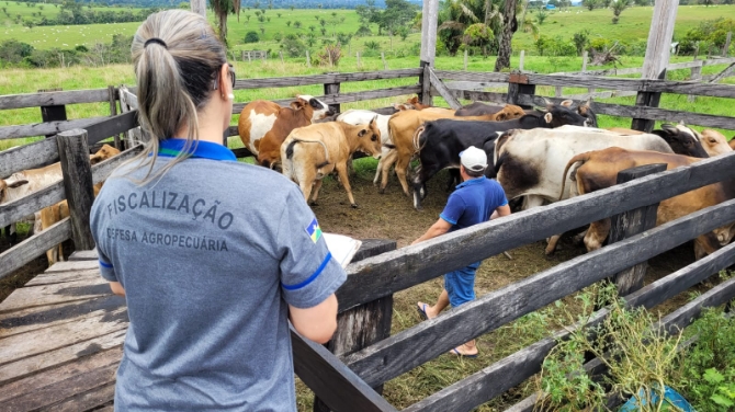 Resizer_16835822118801