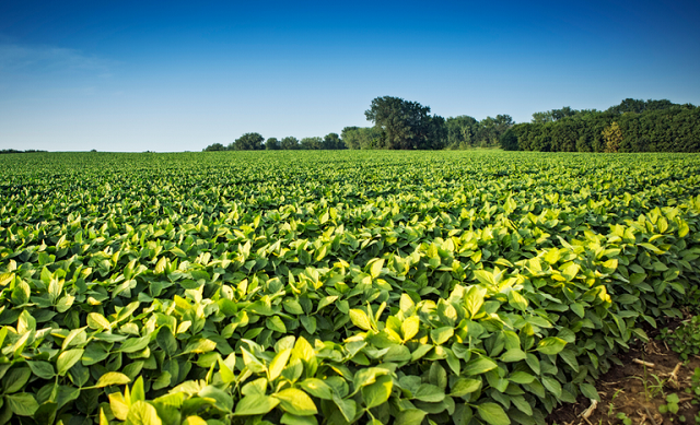 b5ffd64b-5131-4a2e-b31d-98c80583ff37