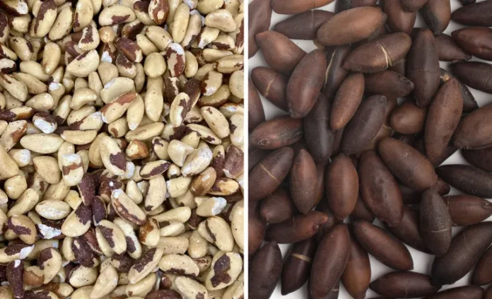 4a41f691-1496-4ce1-9e1e-a50795dc554f